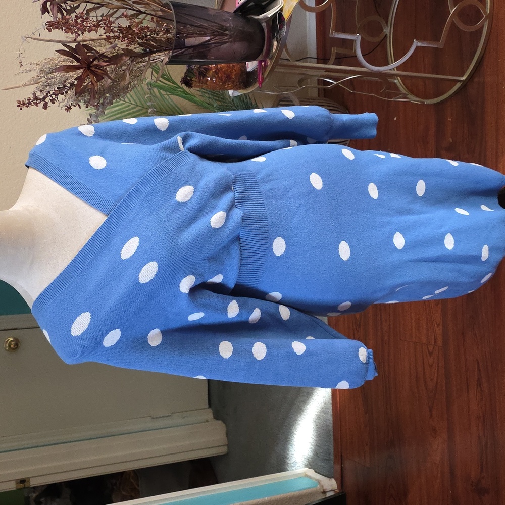 Blue Polka Dot Sweater Dress - Picture 1 of 3